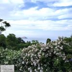 Villa in vendita a Portoferraio - Rif. Rif. 452