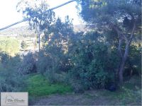 Villa in vendita a Portoferraio - Rif. Rif. 438