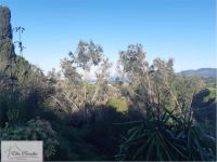 Villa in vendita a Portoferraio - Rif. Rif. 438