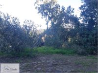 Villa in vendita a Portoferraio - Rif. Rif. 438