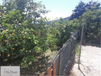 Bilocale in vendita a Campo Nell'elba - Rif. Rif. 513