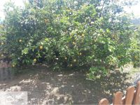 Bilocale in vendita a Campo Nell'elba - Rif. Rif. 513