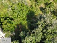 Casale in vendita a Rio - Rif. Rif. 356