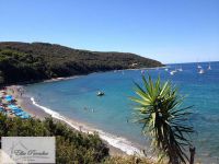 Appartamento In Villa in vendita a Rio - Rif. Rif. 341