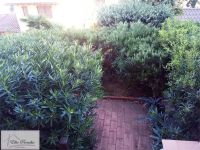 Bilocale in vendita a Marciana - Rif. Rif. 36