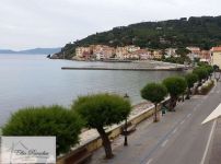 Attivit� Commerciale in vendita a Marciana Marina - Rif. Rif. A02