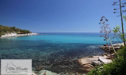 Albergo in vendita a Campo Nell'elba - Rif. Rif. 515