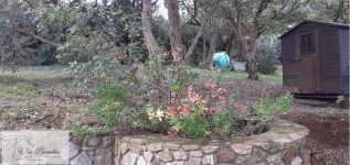 Villa in vendita a Capoliveri - Rif. Rif. 231