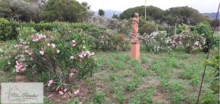 Villa in vendita a Capoliveri - Rif. Rif. 231