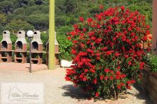 Bilocale in vendita a Capoliveri - Rif. Rif. 225