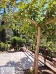 Villa A Schiera in vendita a Rio - Rif. Rif. 319