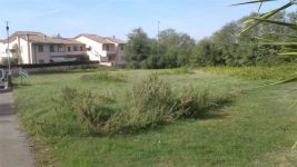 Terreno Edificabile in vendita a Montopoli In Val D'arno - Rif. 1242