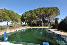 Casale in affitto a Palaia - Rif. 1455