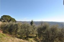 Casale in affitto a Palaia - Rif. 1455