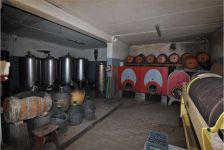 Casale in affitto a Palaia - Rif. 1455