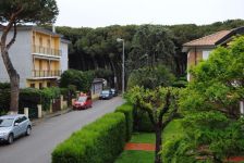 Bilocale in affitto a Cecina - Rif. 1341