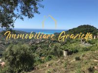 Terreno Edificabile in vendita a Vallebona - Rif. 604