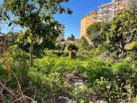 Appartamento In Villa in vendita a Vallecrosia - Rif. 527_