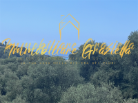 Quadrilocale in vendita a Vallebona - Rif. C5-14