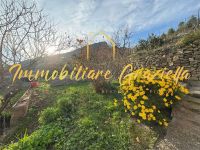 Villa in vendita a Vallecrosia - Rif. 534