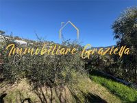 Terreno Edificabile in vendita a Bordighera - Rif. 661