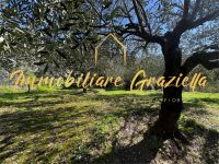 Terreno Edificabile in vendita a Bordighera - Rif. 661