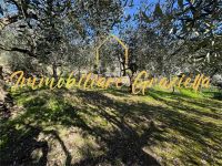 Terreno Edificabile in vendita a Bordighera - Rif. 661