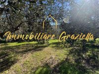 Terreno Edificabile in vendita a Bordighera - Rif. 661