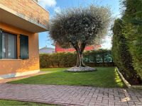 Villa A Schiera in vendita a Cerea - Rif. V003679