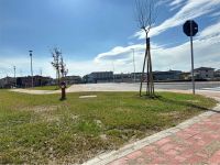 Terreno Edificabile in vendita a Buttapietra - Rif. V003673